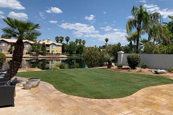 Scottsdale Landscaping--Experience Matters 2
