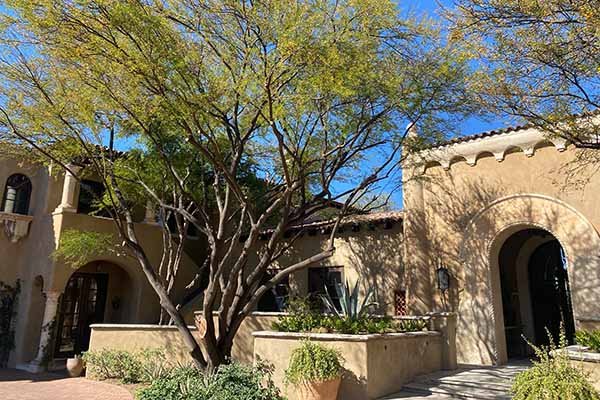 Scottsdale Landscaping--Experience Matters 4