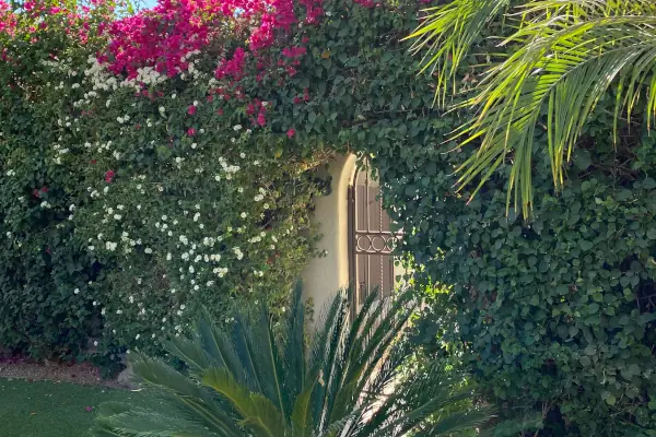 Paradise Valley Landscaping