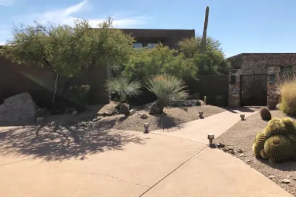 Paradise Valley Tree Service