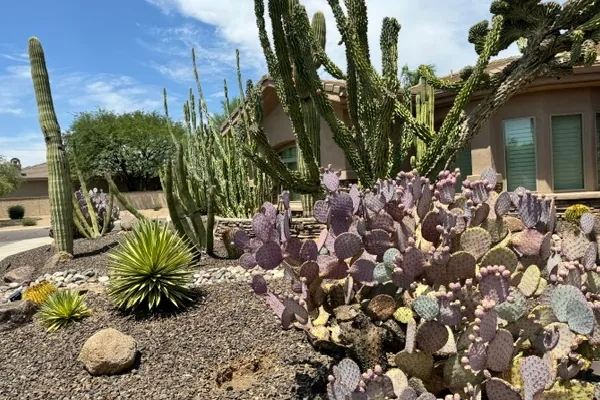 Carefree Landscaping Service